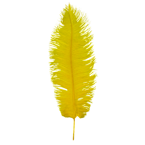 Yellow Ostrich Feather Plume 18" to 20" (Pack of 6)