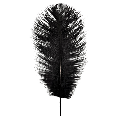 Black Ostrich Feather Plume 18" to 20" (Pack of 6)