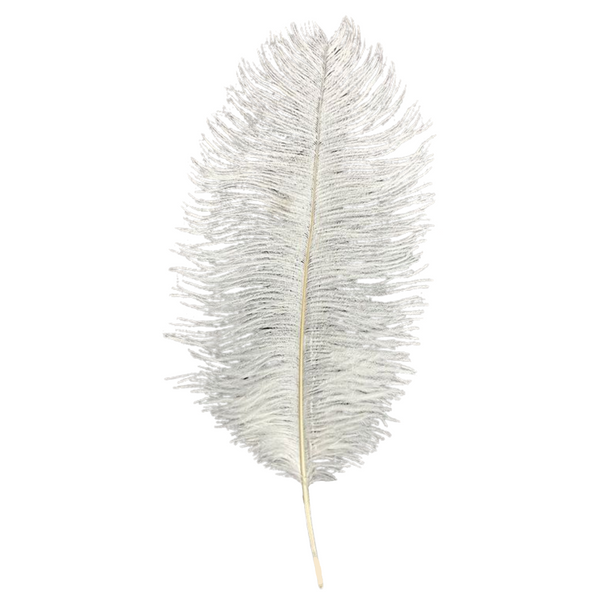 White Ostrich Feather Plume 18 to 20 Pack of 6 Mardi Gras Spot