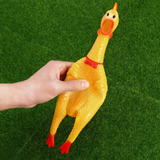 Vinyl Shrilling Chicken 12" (Each)