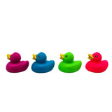 2" Neon Rubber Duck (Dozen)