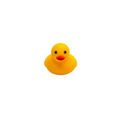 Mini Rubber Duck 1 (Dozen) – Mardi Gras Spot
