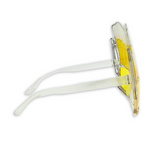 Beer Goggle Glasses (Each)