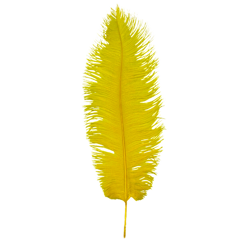 Yellow Ostrich Feather Plume 18" to 20" (Each)