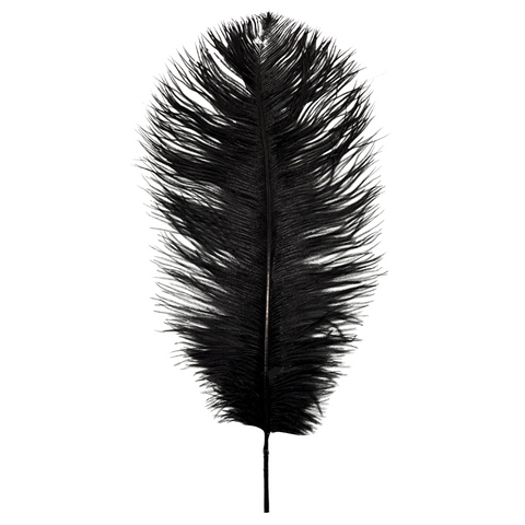 Black Ostrich Feather Plume 18" to 20" (Each)