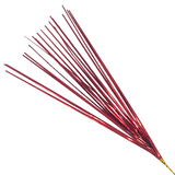 20" Red Onion Grass (Each)