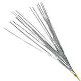 20" Silver Onion Grass (Each)