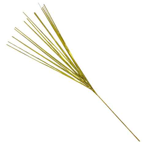 20" Gold Onion Grass (Each)