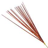 20" Orange Onion Grass (Each)
