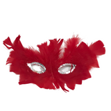 Red Feathers with Silver Sequins Around The Eyes (Each)