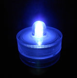 LED Submersible Bright White Light (Each)