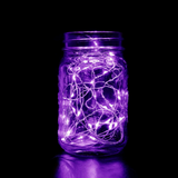 6' Purple LED Battery Operated Fairy Lights (Each)