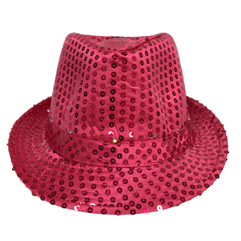 Hot Pink LED Fedora with 14 White Lights (Each)